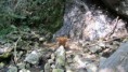 /album/a0-6-mesiacov/a20120706-img-1960-1000x563-jpg/